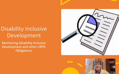 Improving DPO Stakeholders’ Understanding and Monitoring of Disability Inclusive Development and Advancing the Implementation of CRPD Article 32 – funded by the Rehabilitation International Global Disability Development Fund