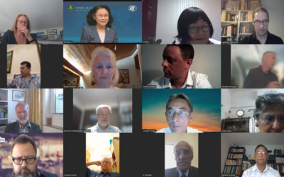 Rehabilitation International holds executive committee meeting online